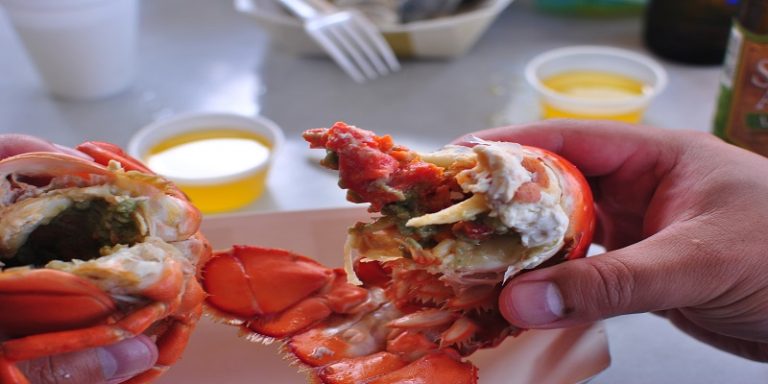 can-i-eat-cooked-lobster-while-pregnant-classified-mom