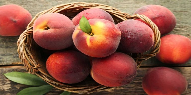 can-pregnant-woman-eat-nectarines-classified-mom