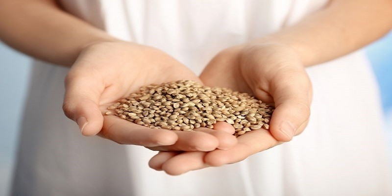 Can You Eat Hemp Seeds While Pregnant