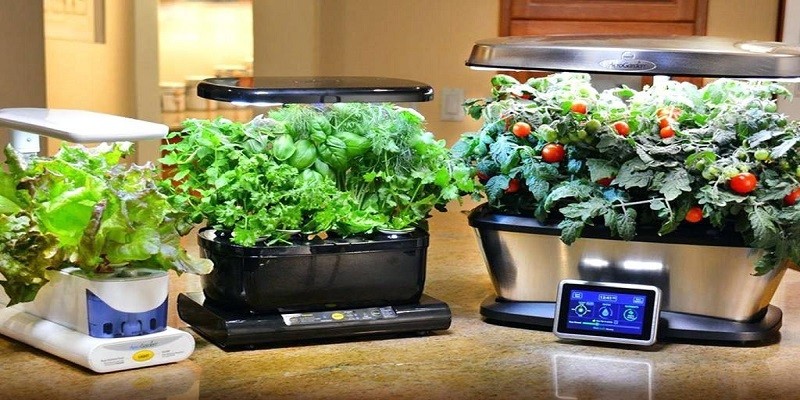 How To Clean Your Aerogarden